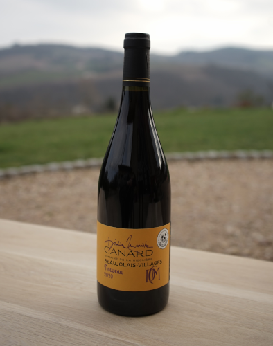 Beaujolais Village Nouveau