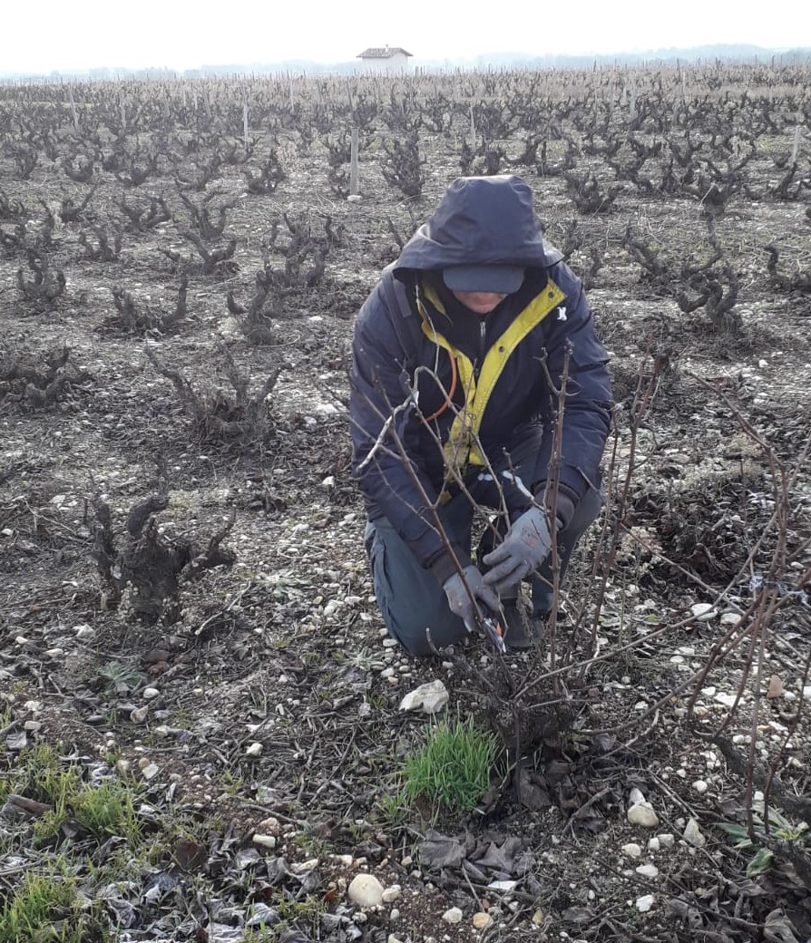 Photo des propriétaires