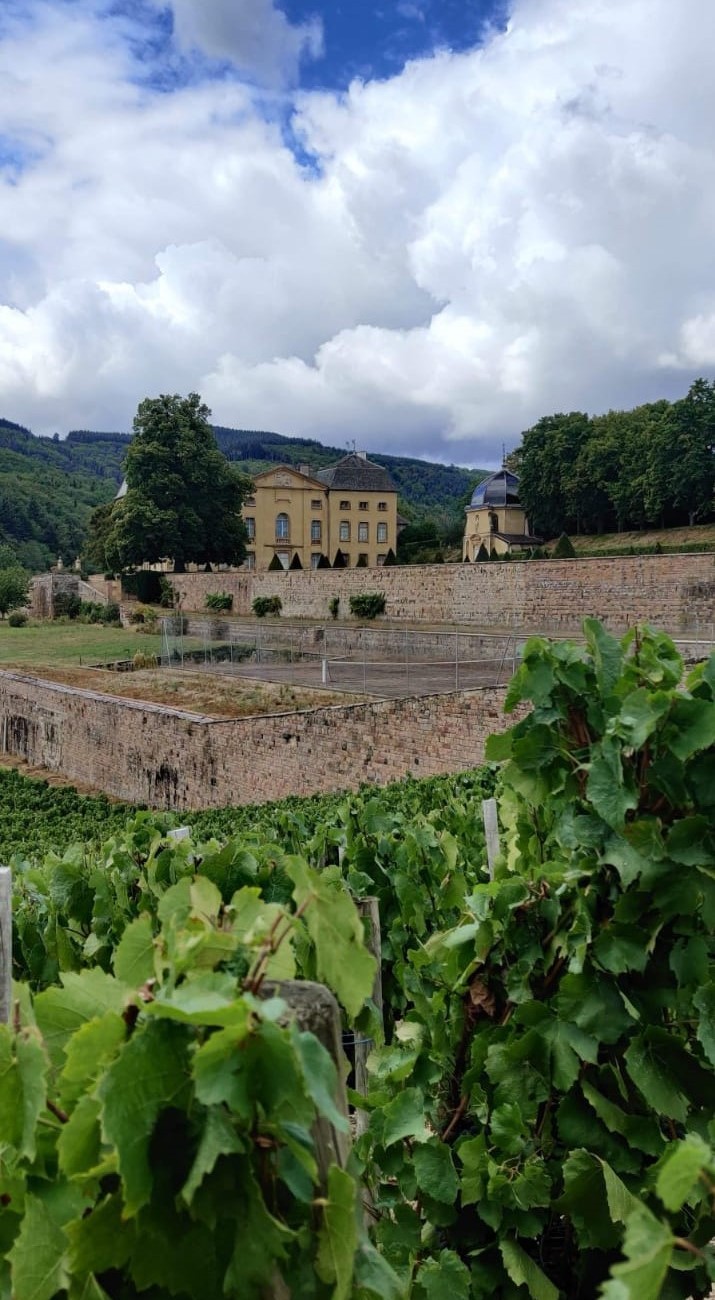 Photo du Gîte
