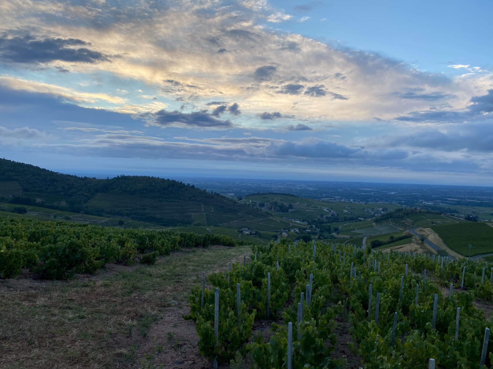 Photo du panneau