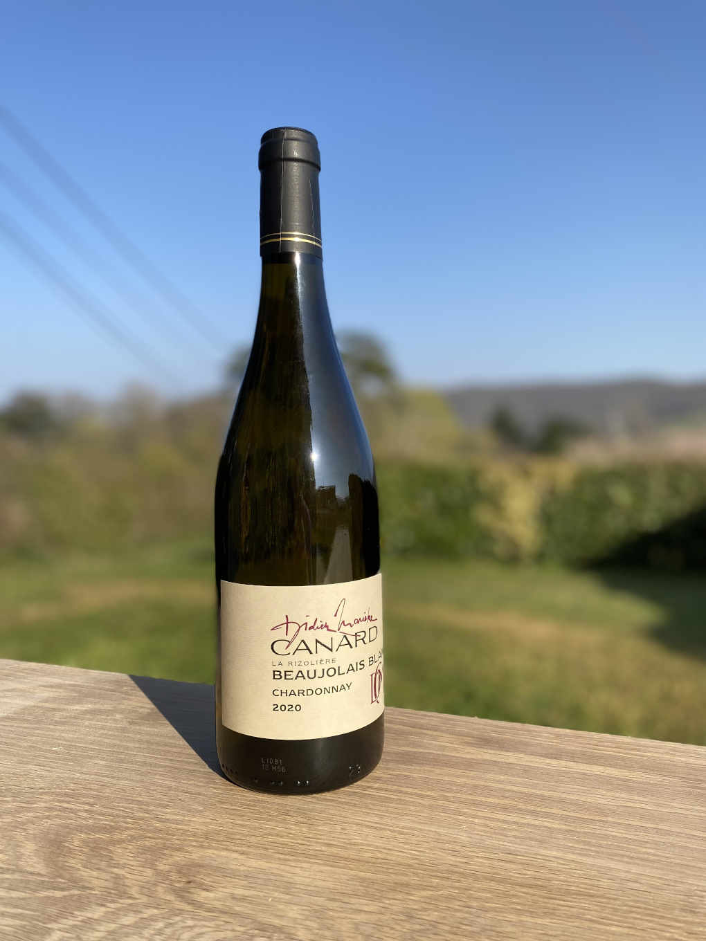 Beaujolais Blanc